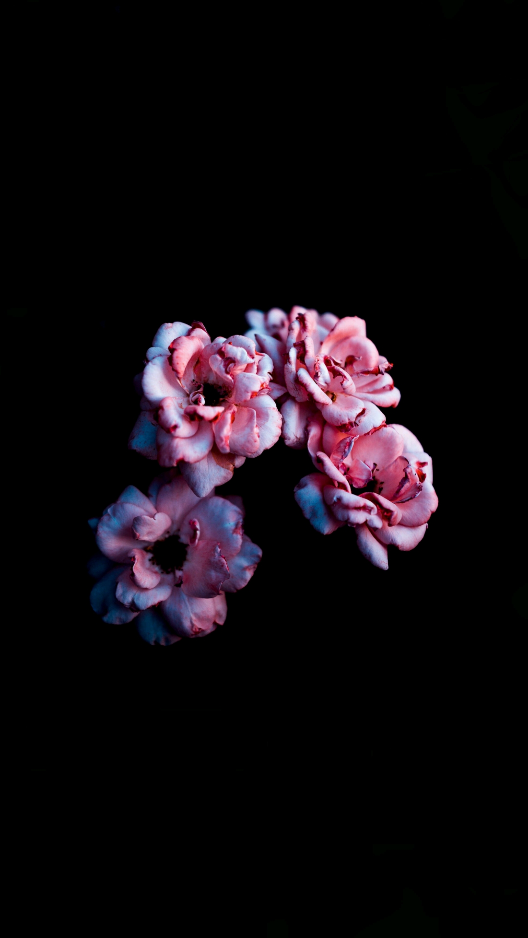 Whispering Petals