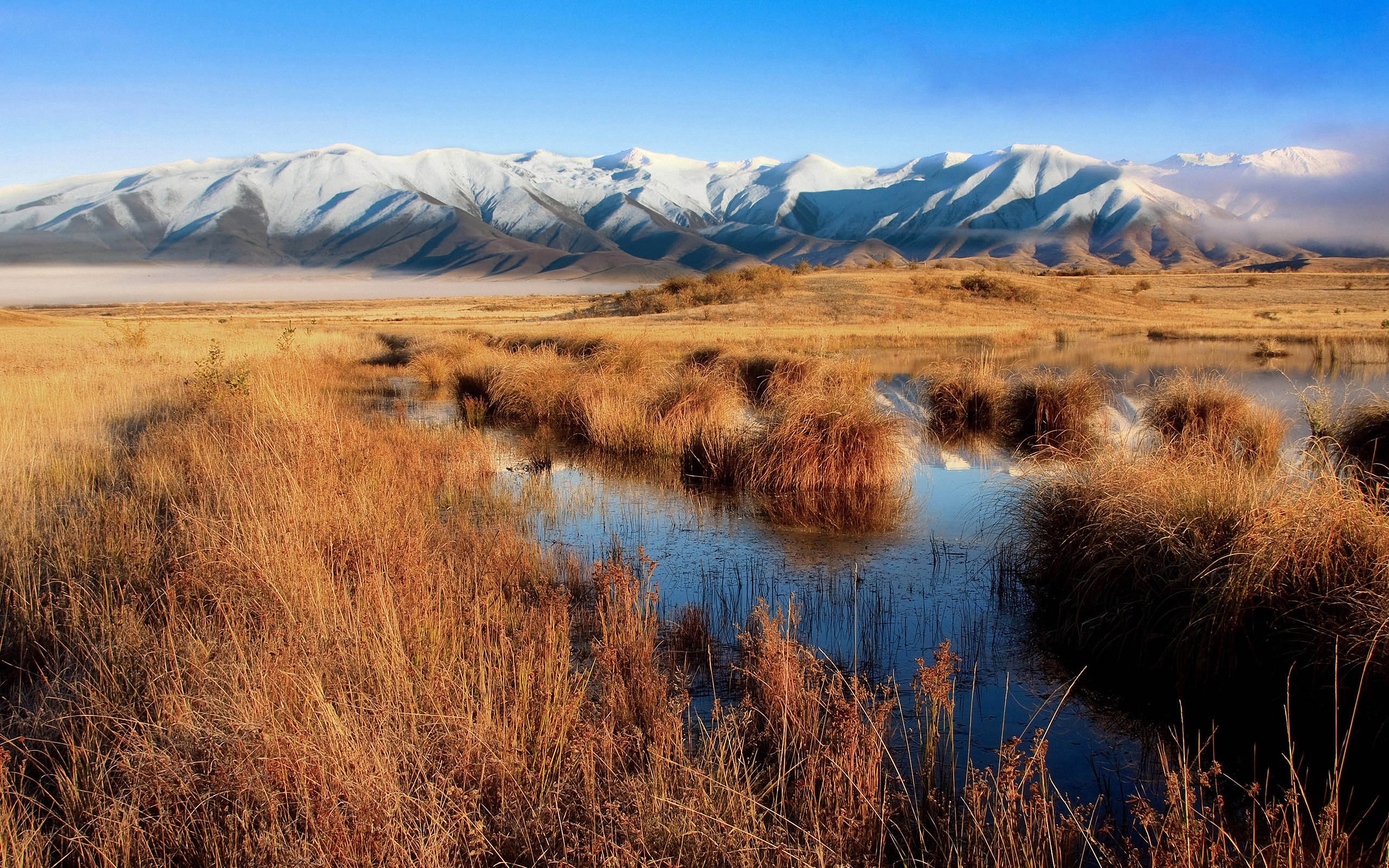 Golden Marshes and Snow-Capped Mountains