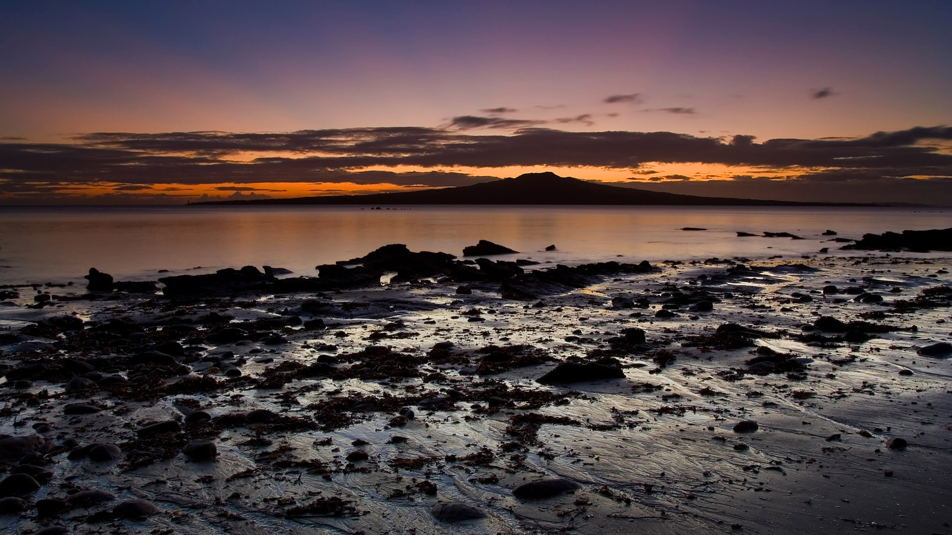 Twilight Shoreline