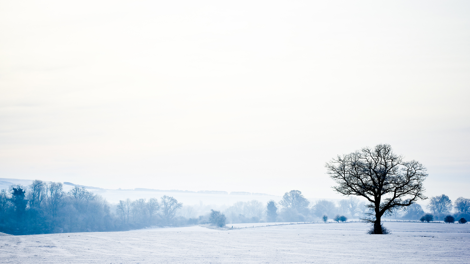 Winter Solitude