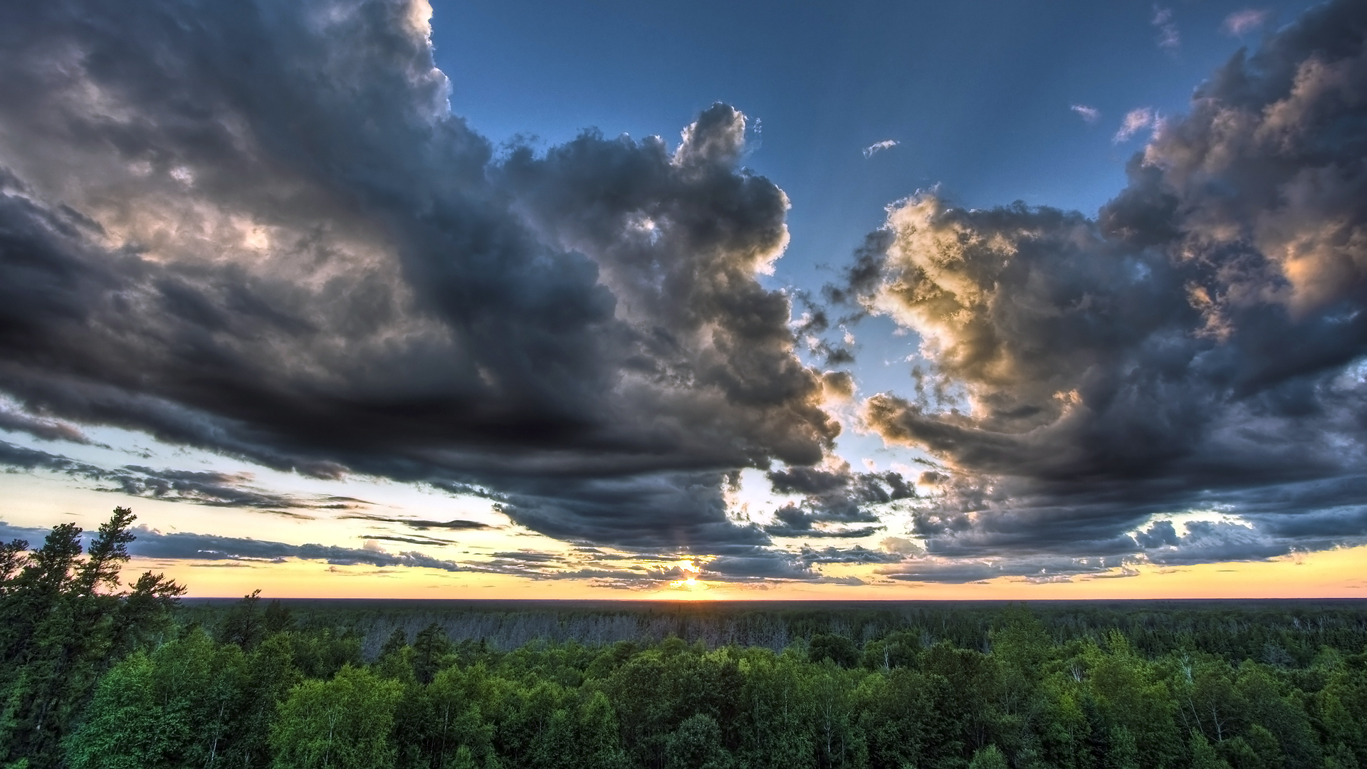 Twilight Over the Forest