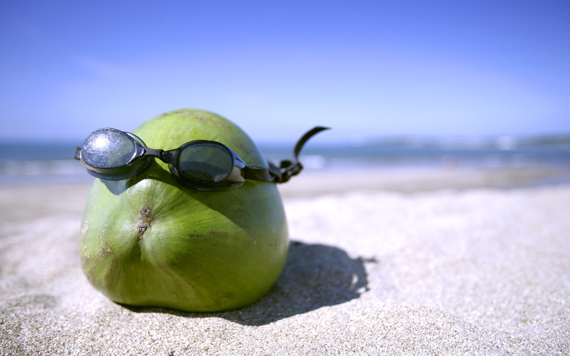 Coconut with Goggles on the Beach