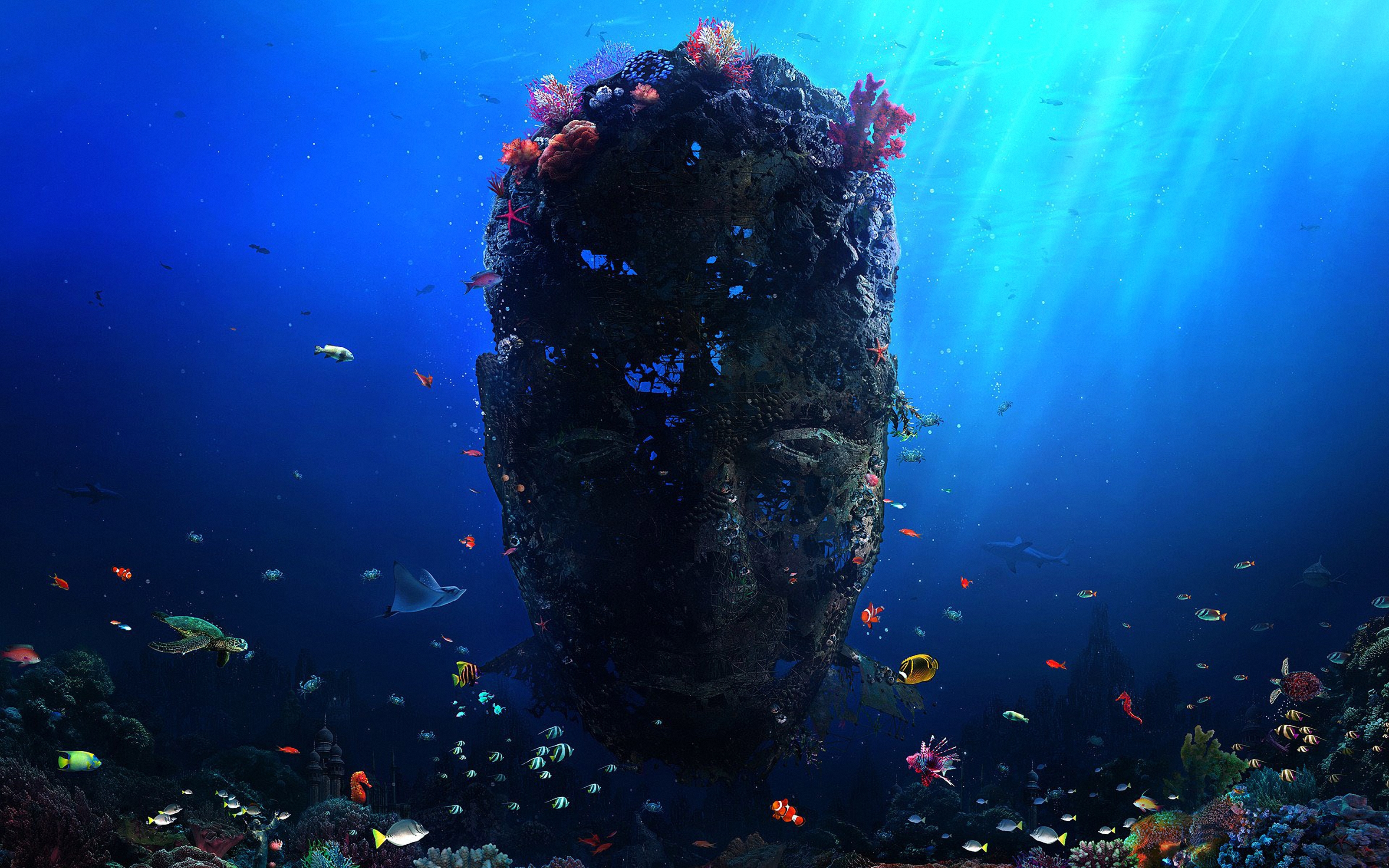 The Ocean's Guardian
