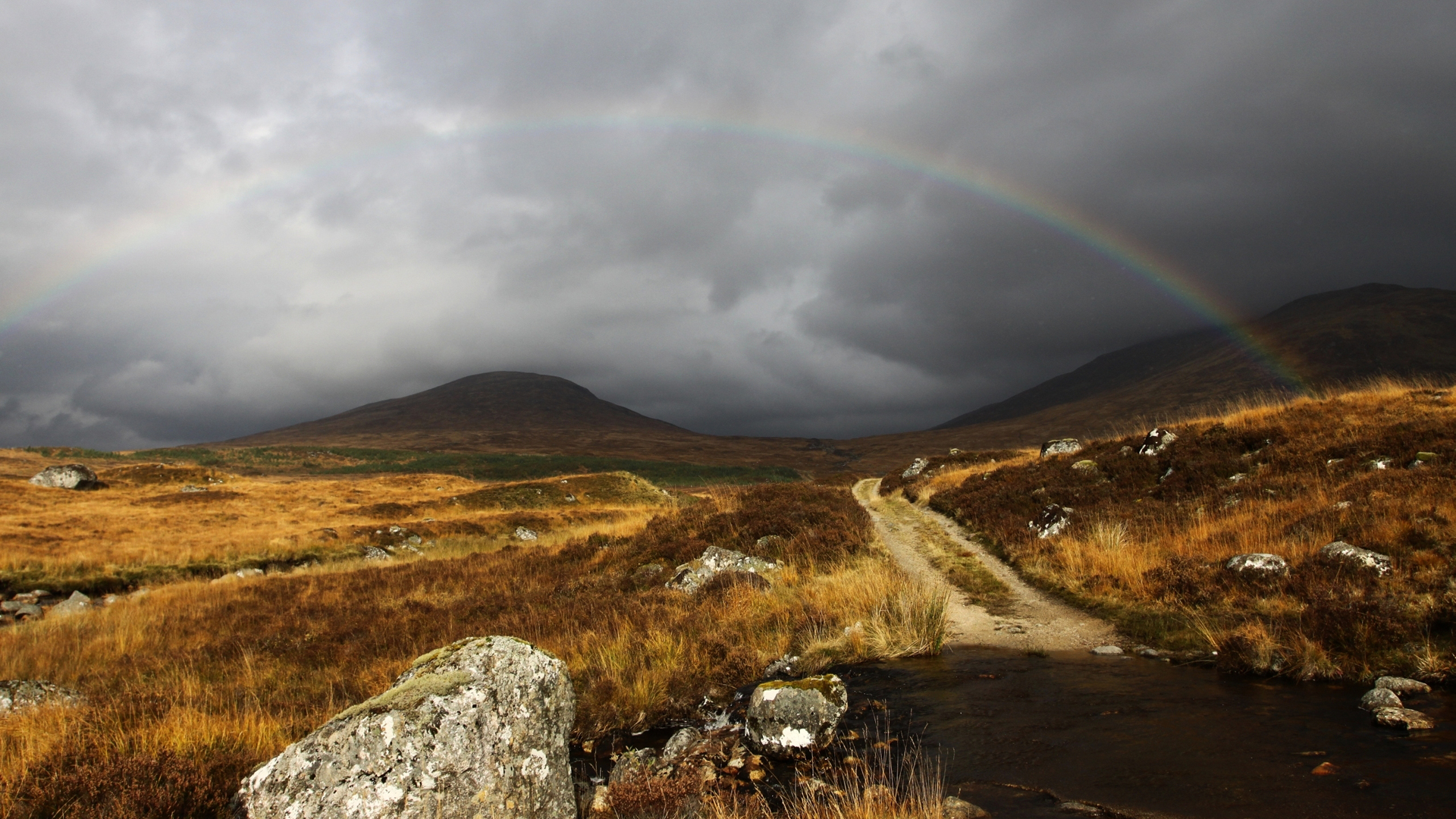 Arcadia's Promise: A Journey Through Nature's Rainbow