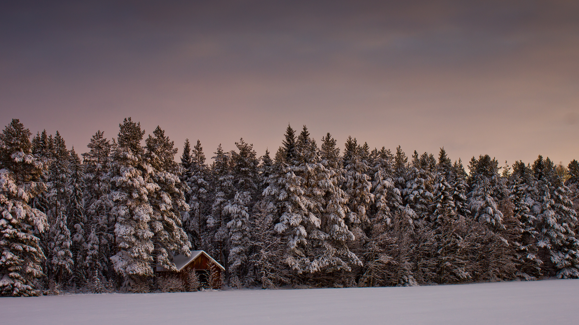 Winter Wonderland