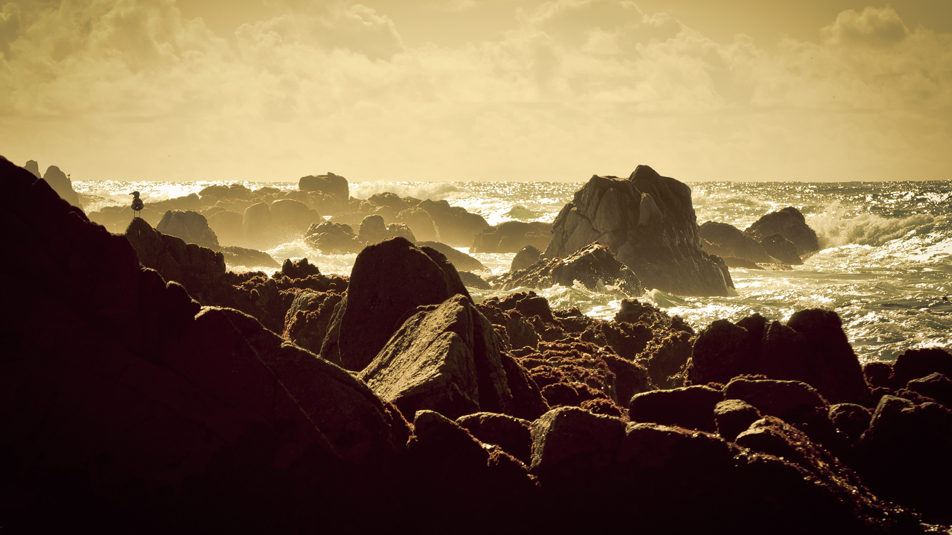 Golden Shoreline