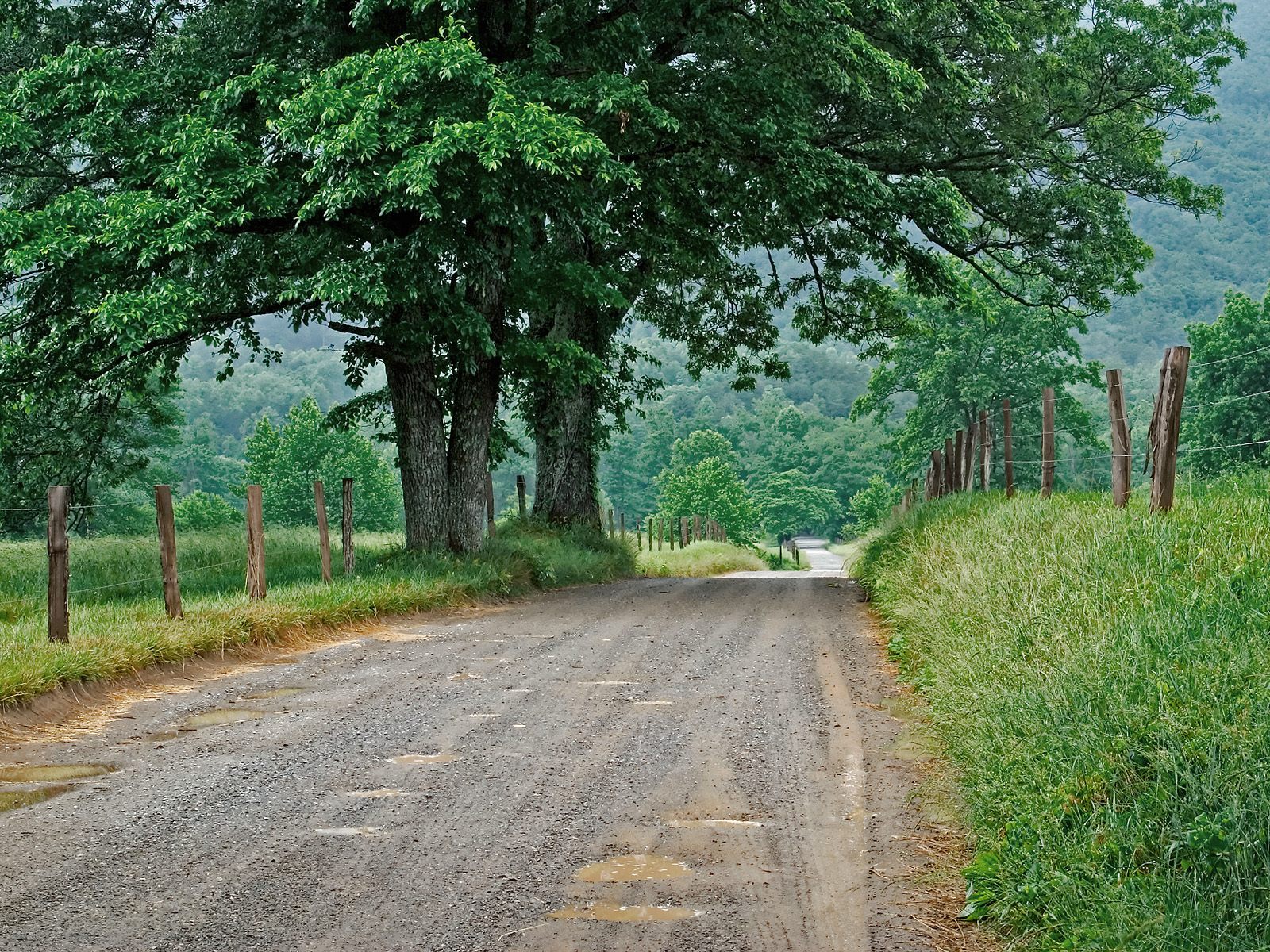Country Road