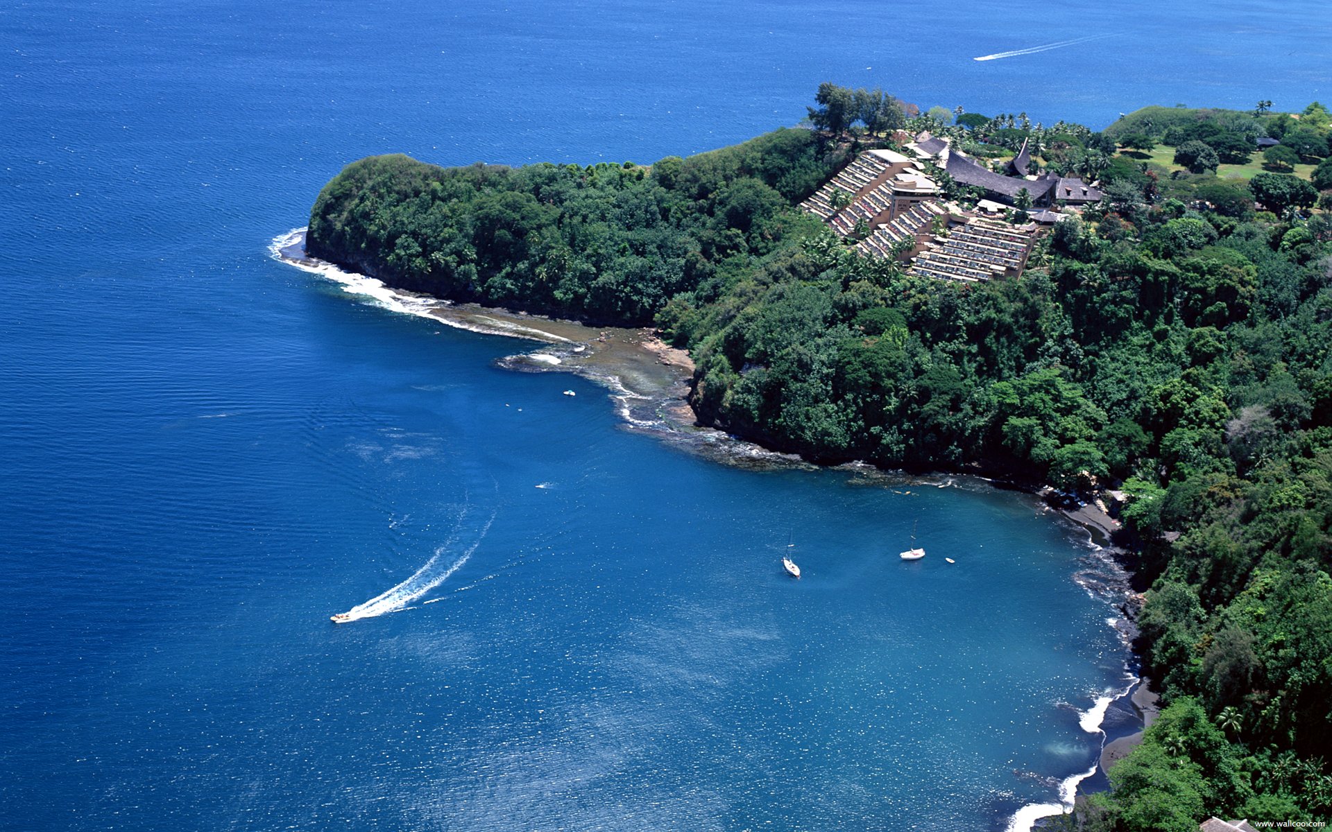Aerial View of a Tropical Island Resort