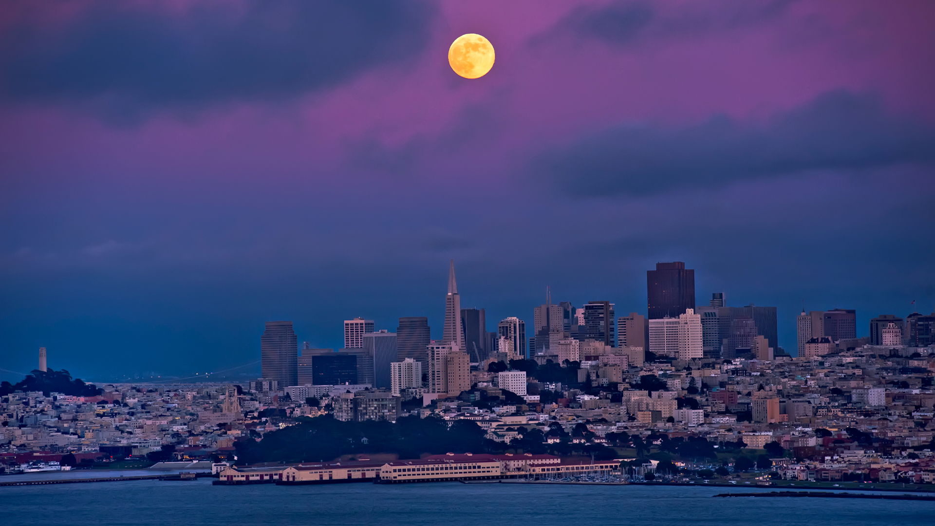 San Francisco Moonlit Skyline