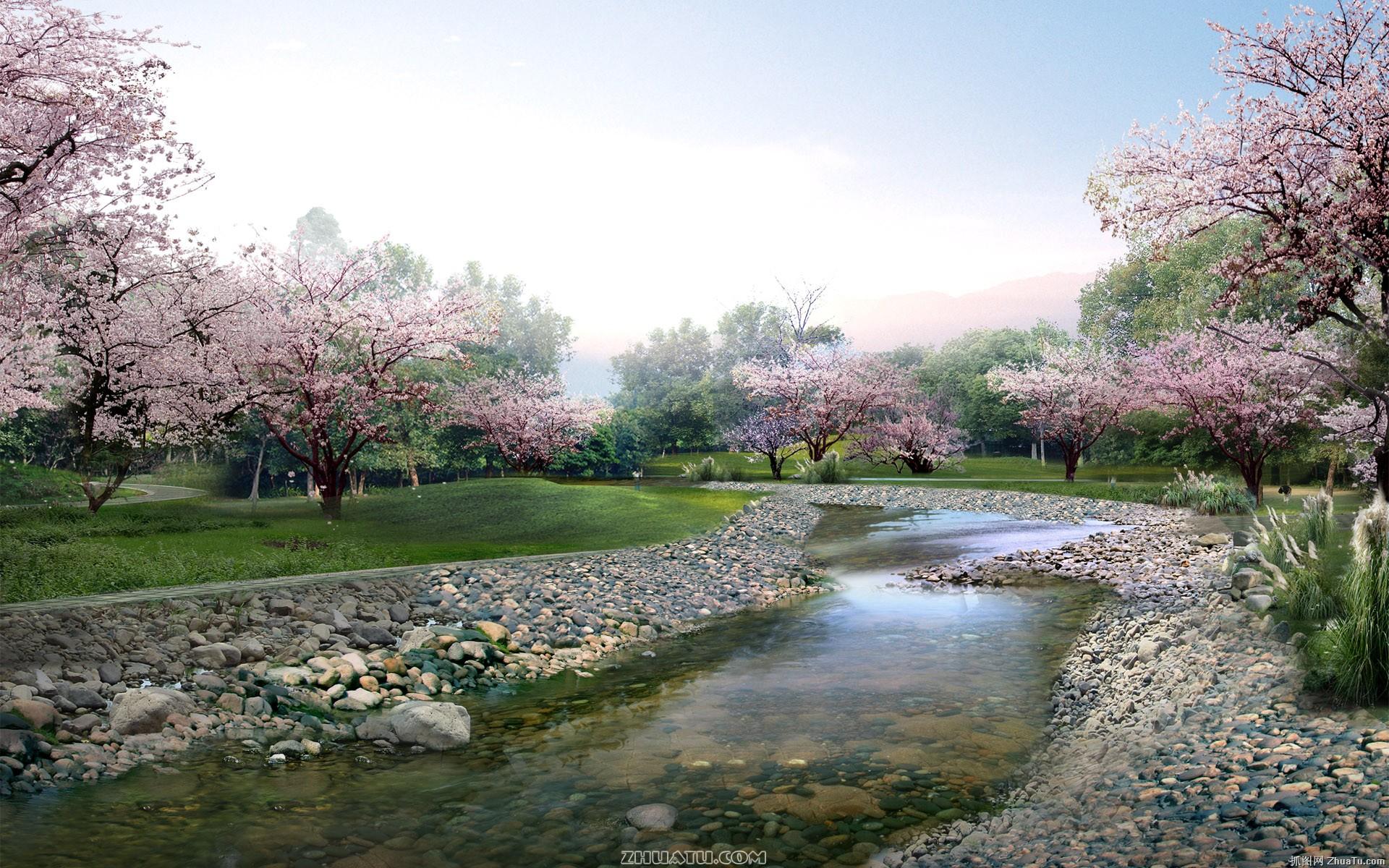 Springtime Serenity: Cherry Blossoms by the Stream
