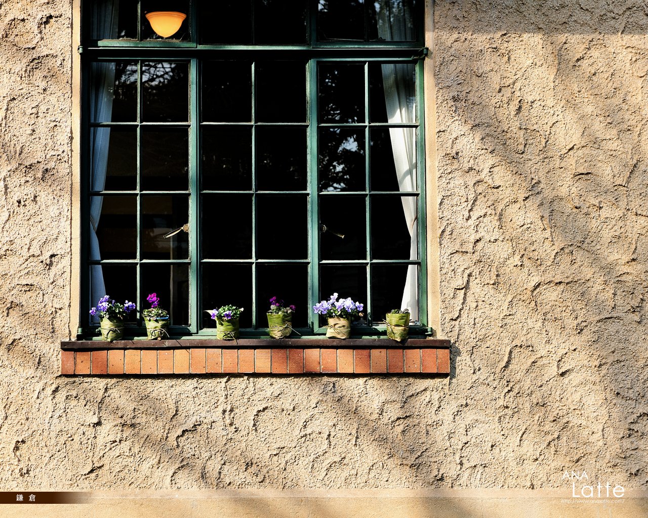 Window with Flower Pots