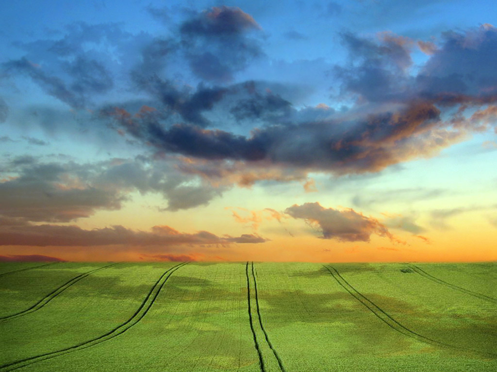 Tranquil Sunset Over Green Fields