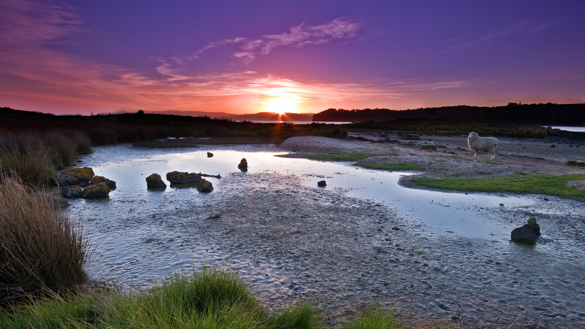 Tranquil Sunset by the Lakeside