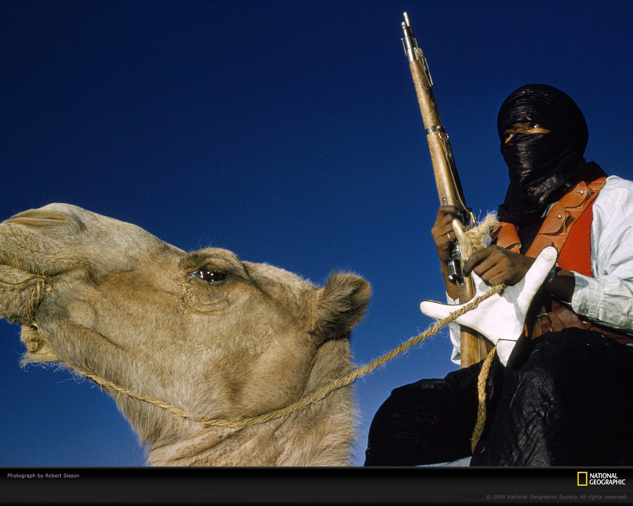 Desert Guardian