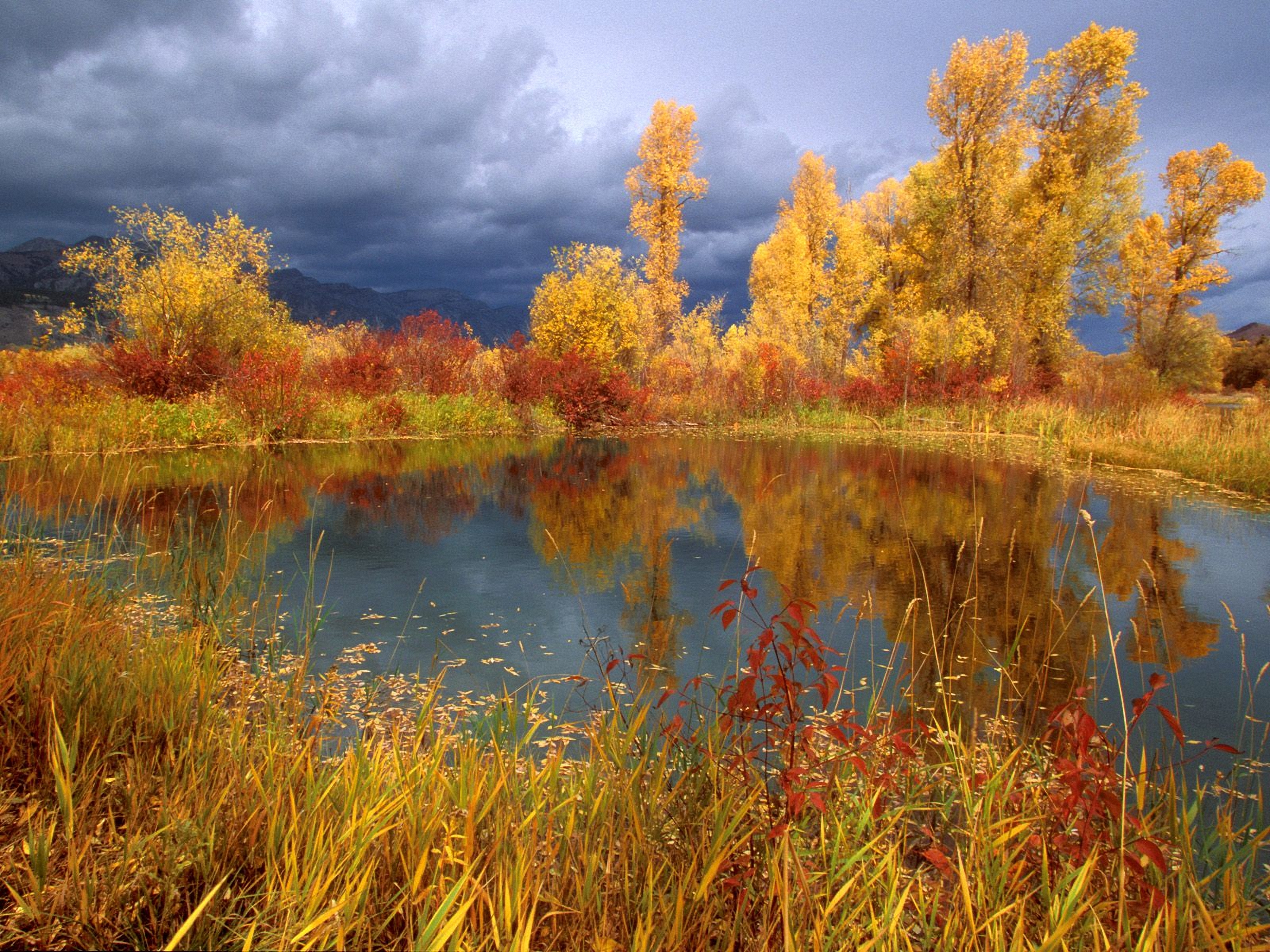 Autumn Reflections by the Lake