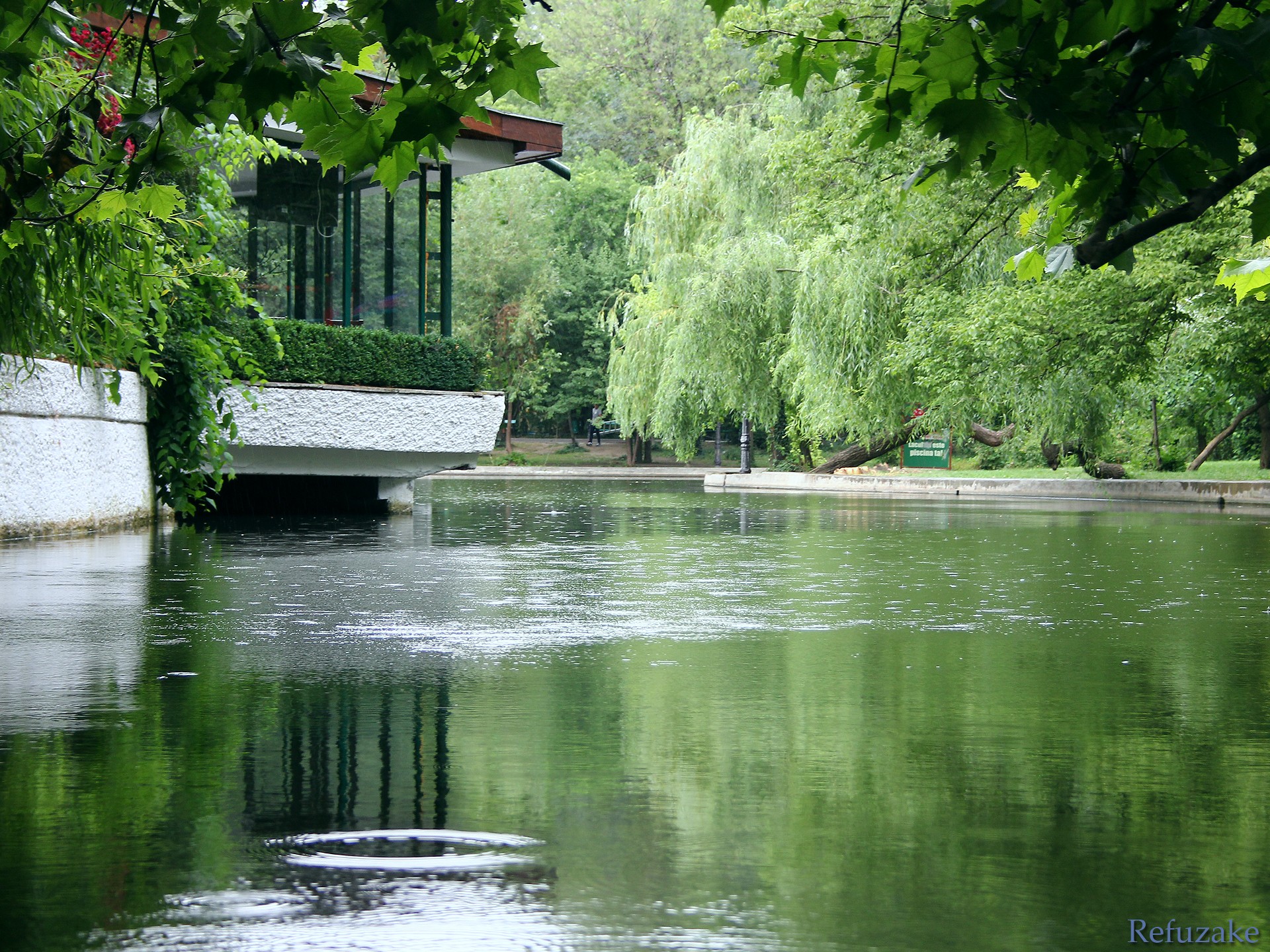 Tranquil Lakeside Retreat