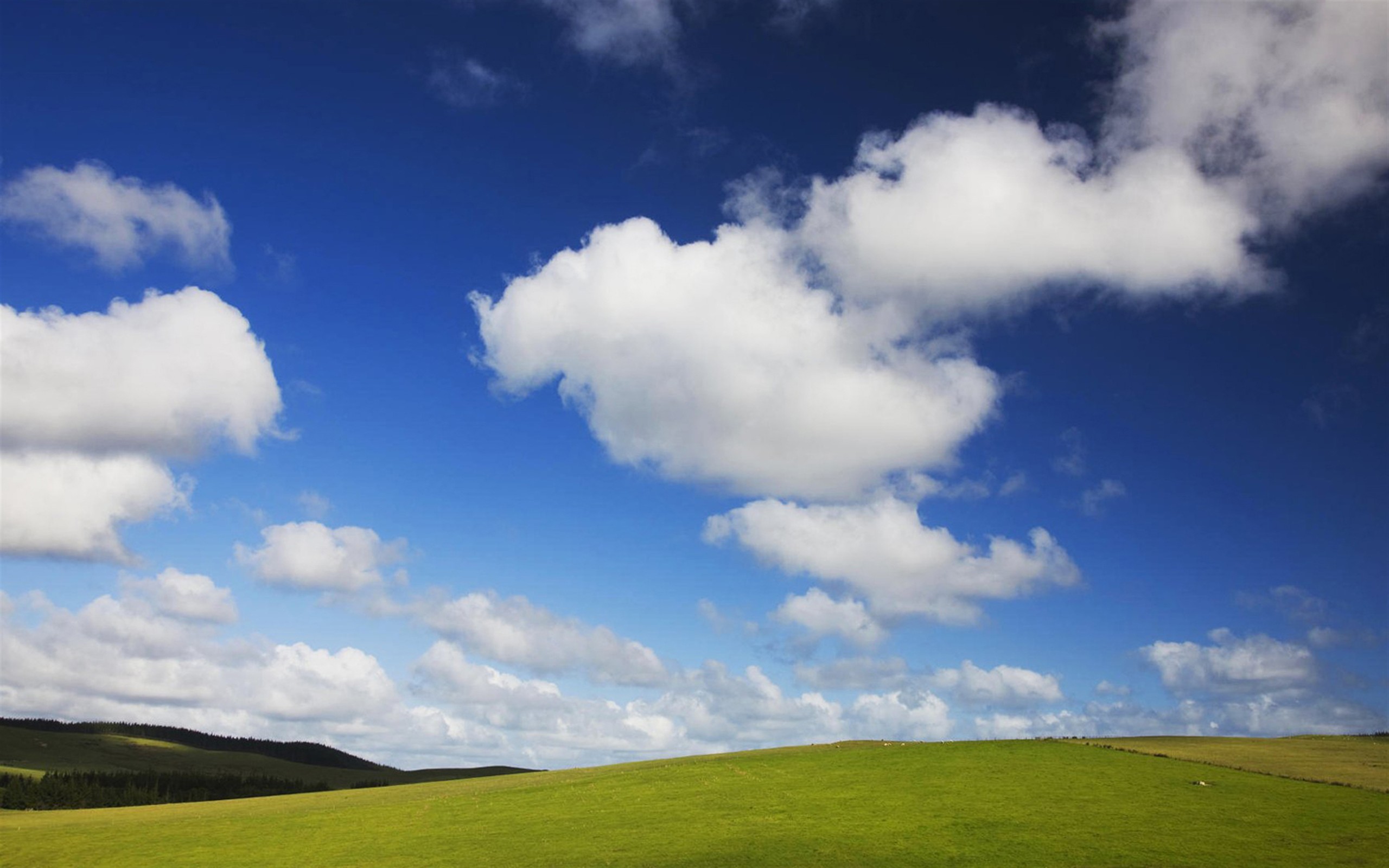 Serenity in the Countryside