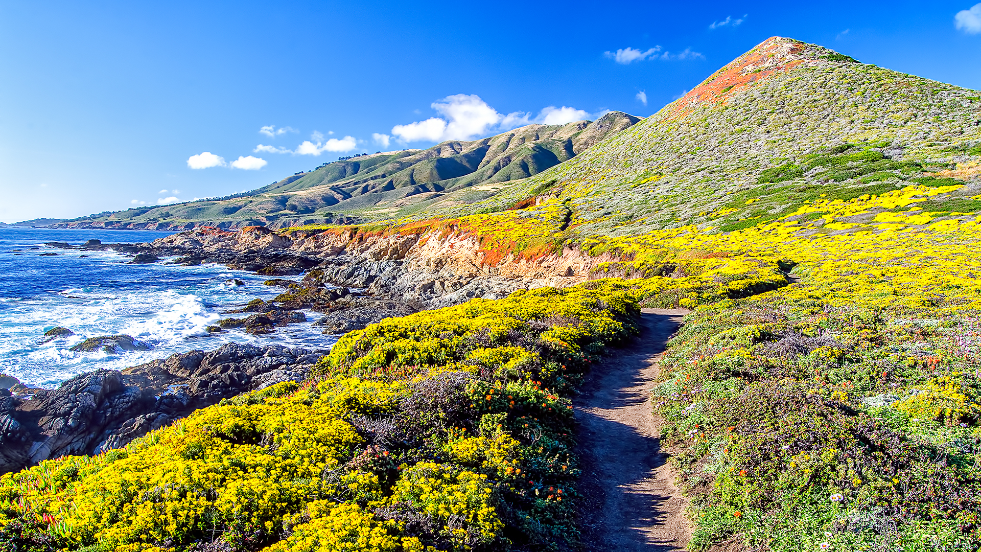 Coastal Pathway and Ocean View