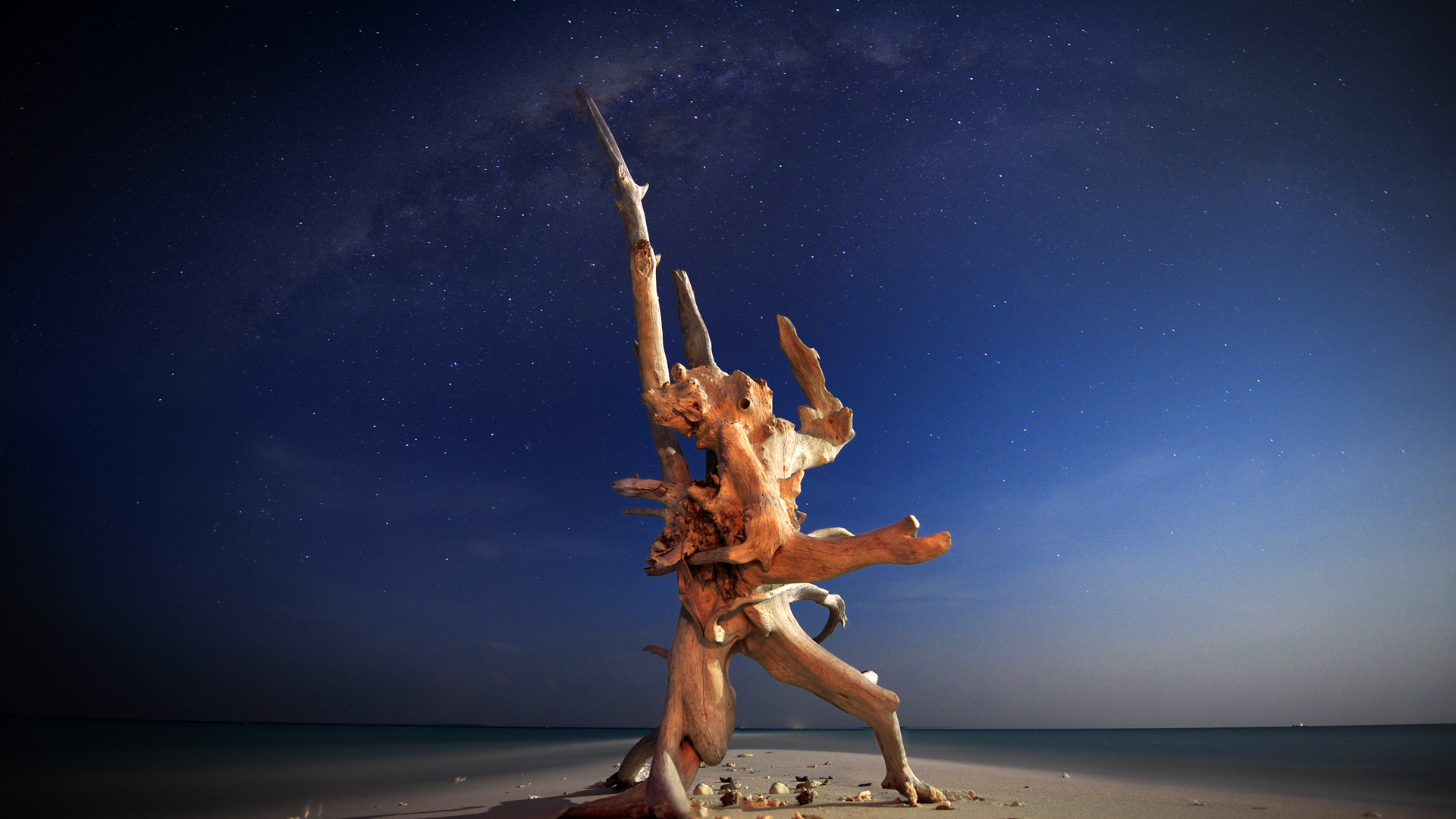 The Guardian of the Stars