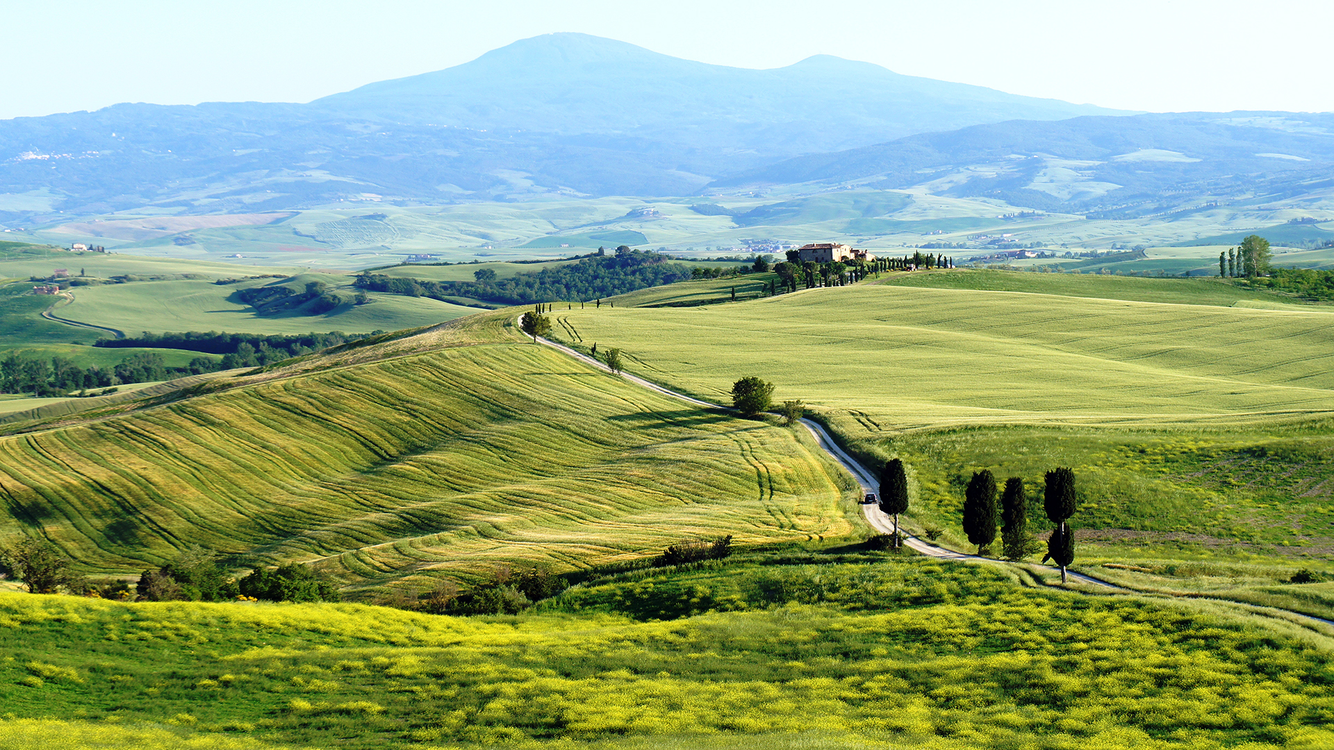 Rolling Hills of Tuscany