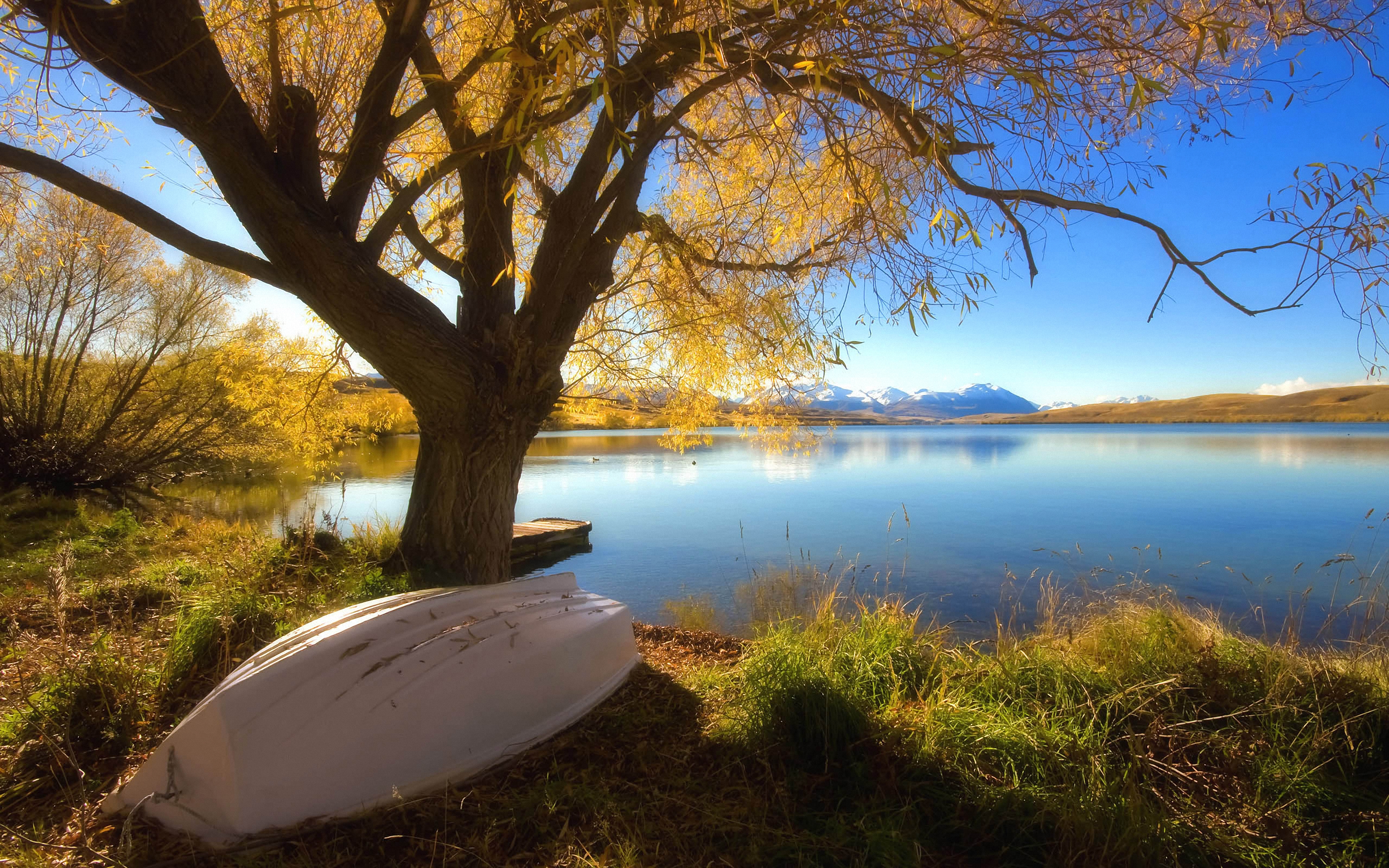 Tranquil Lakeside Autumn